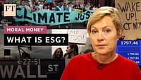 Gillian Tett del FT spiega l’importanza dell’ESG | FT
