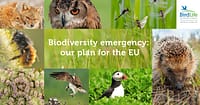 #EUBiodiversity – Biodiversità europea | Commissione Europea