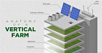 vertical-farm-share-e1563525934279