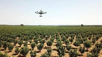Robot e droni per ridurre gli sprechi dei terreni agricoli di grandi dimensioni