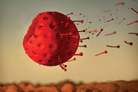 Cosa ci serve per porre fine alla pandemia di Coronavirus