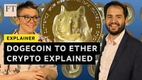 Criptovalute spiegate e perché ogni Dogecoin ha il suo giorno | FT