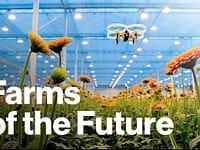 Le fattorie futuristiche che nutriranno il mondo | Freethink