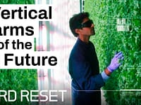 L’agricoltura verticale potrebbe conquistare il mondo | Hard Reset by Freethink
