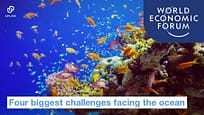 Quattro grandi sfide per l’oceano | World Economic Forum