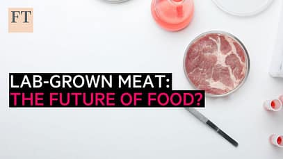 Carne coltivata in laboratorio: il futuro del cibo? | FT