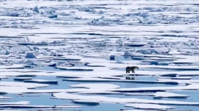 880x495_cmsv2_96c0d890-652d-5c0d-a63f-3cee8e759641-3817650