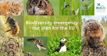 #EUBiodiversity – Biodiversità europea | Commissione Europea