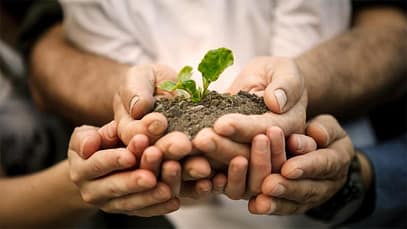 photo-hands-and-plant-e1501159540967