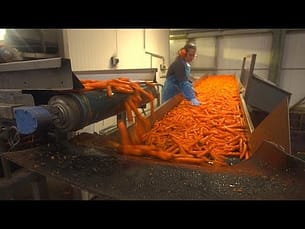 Quanto cibo sprechiamo? Alcune aziende vogliono risolvere il problema e farci risparmiare | Euronews