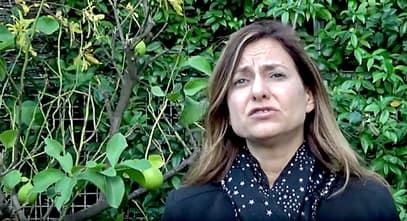 screenshot-www.youtube.com-2018.10.25-12-03-42