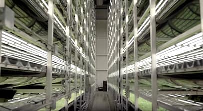 screenshot-www.youtube.com-2018-07-08-17-41-09