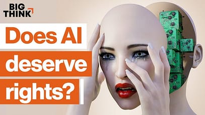 L’intelligenza artificiale cosciente merita dei diritti? | Big Think