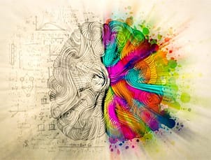 cerveau-creatif-1024×777-2-e1509532602665