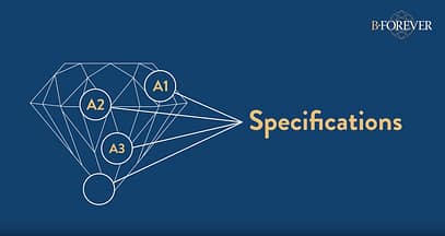 Schermata-2016-11-28-alle-11.42.48