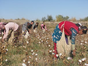 picture-e1494864636365