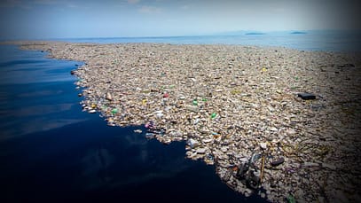 Un piano radicale per porre fine ai rifiuti di plastica | TED