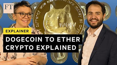 Criptovalute spiegate e perché ogni Dogecoin ha il suo giorno | FT