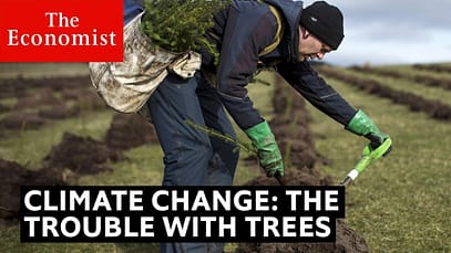 Cambiamento climatico: il problema degli alberi | The Economist