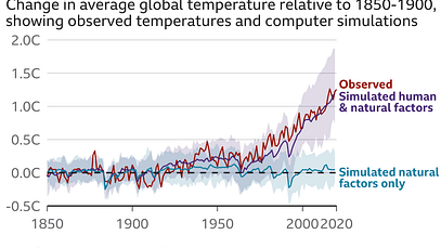 Rapporto sul clima: codice rosso per l’umanità | Sky News
